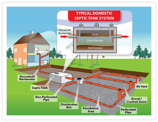 Typical domestic septic tank system