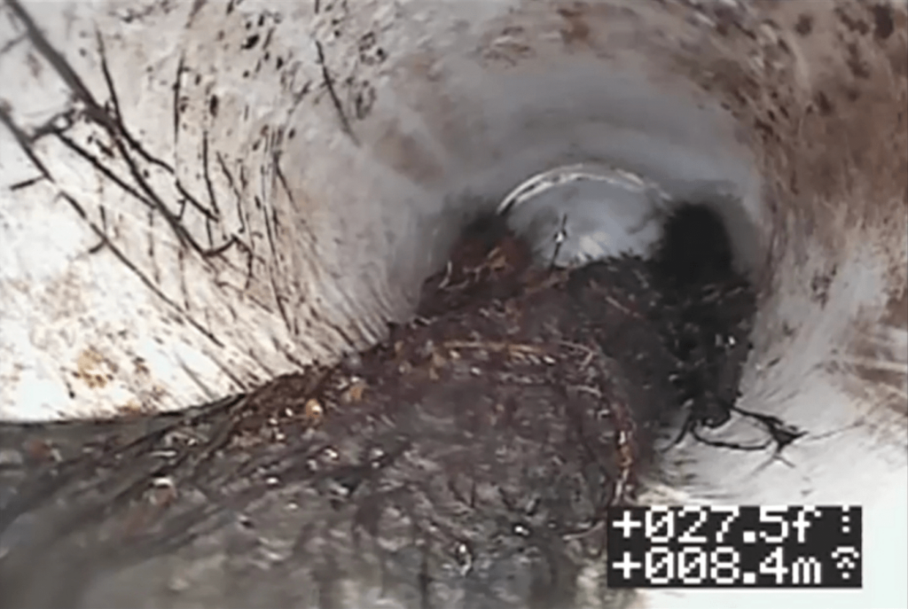 First image: root infestation identified through video pipe inspection almost completely obstructed.