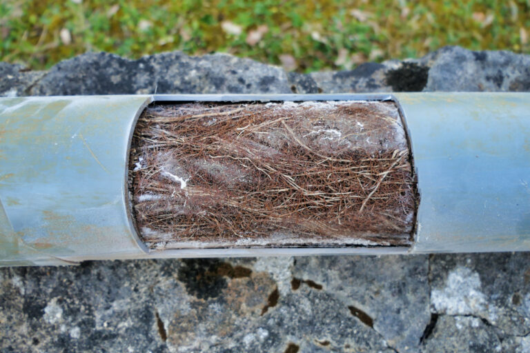 A pipe with a section cut out to show the roots that have filled up the inside.